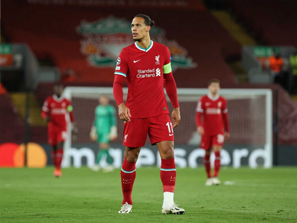 满冠体育官方网简介