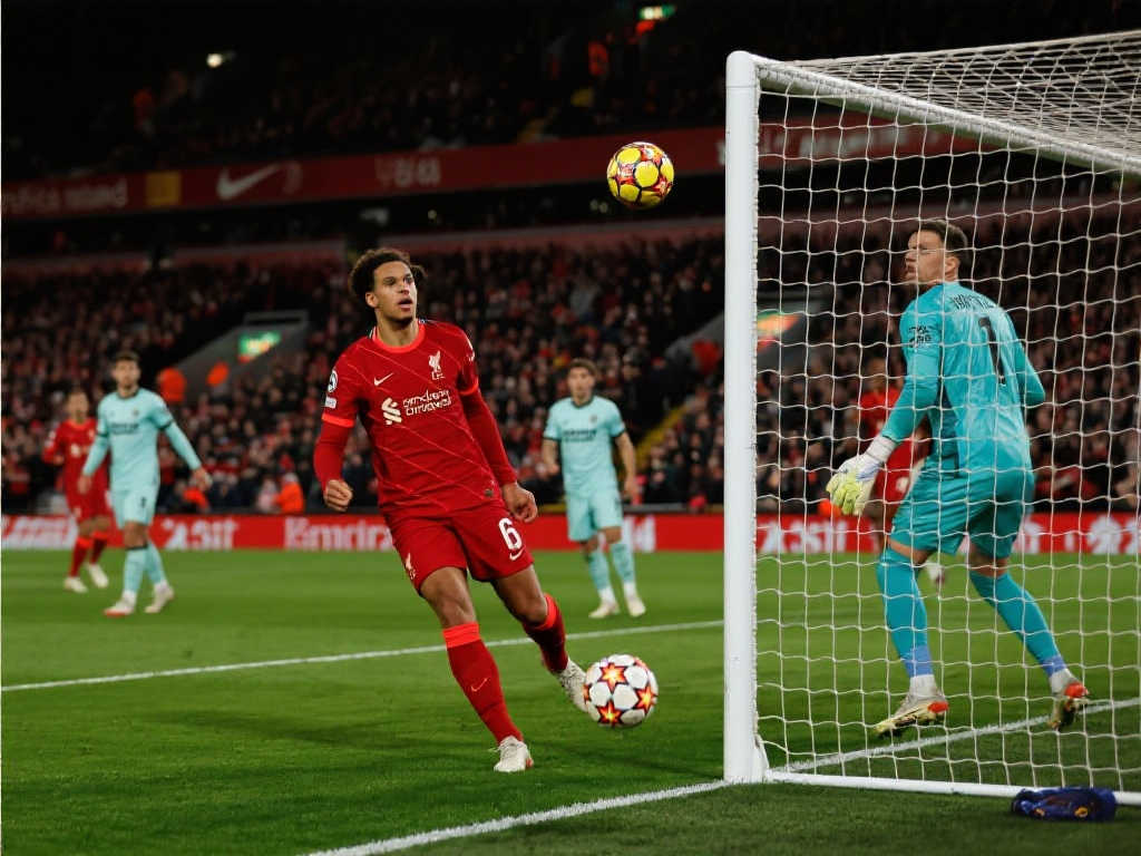 满冠体育官方网简介