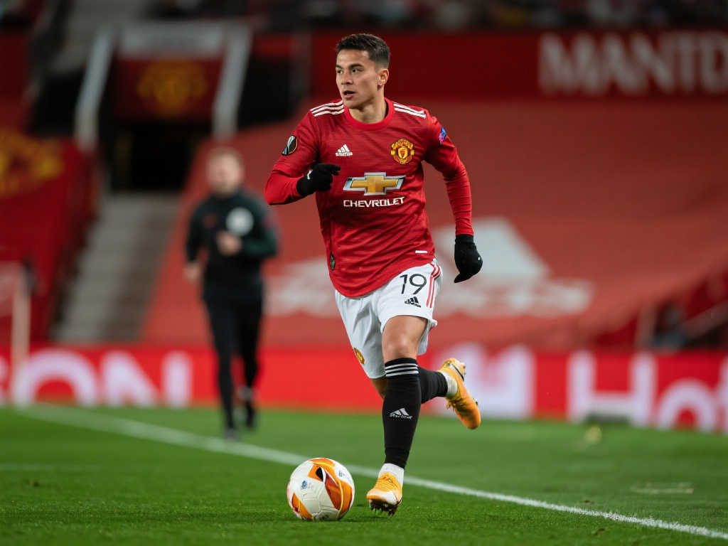 篮上做出调 篮上做出调